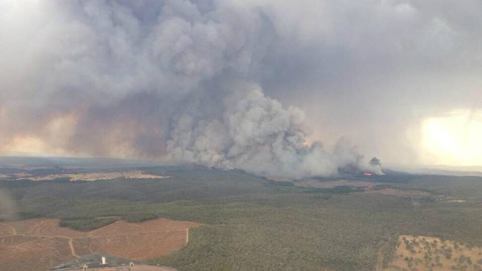 This RFS picture shows the fire burning in the Murraguldrie State Forest south-east of Kyeamba. The fire will be visible from the Hume Highway. Picture: RFS